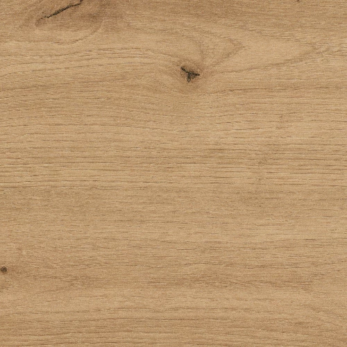 CHENE SAUVAGE NATUREL