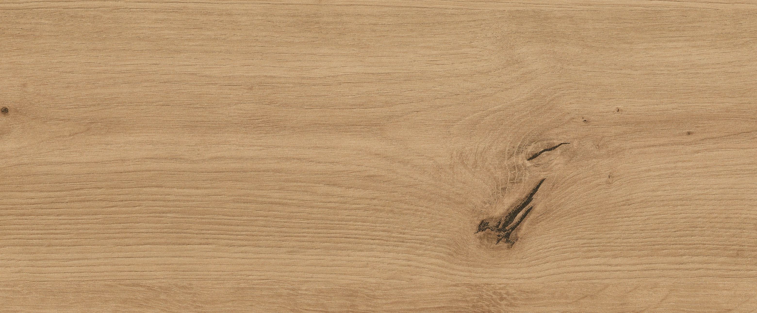 CHENE SAUVAGE NATUREL