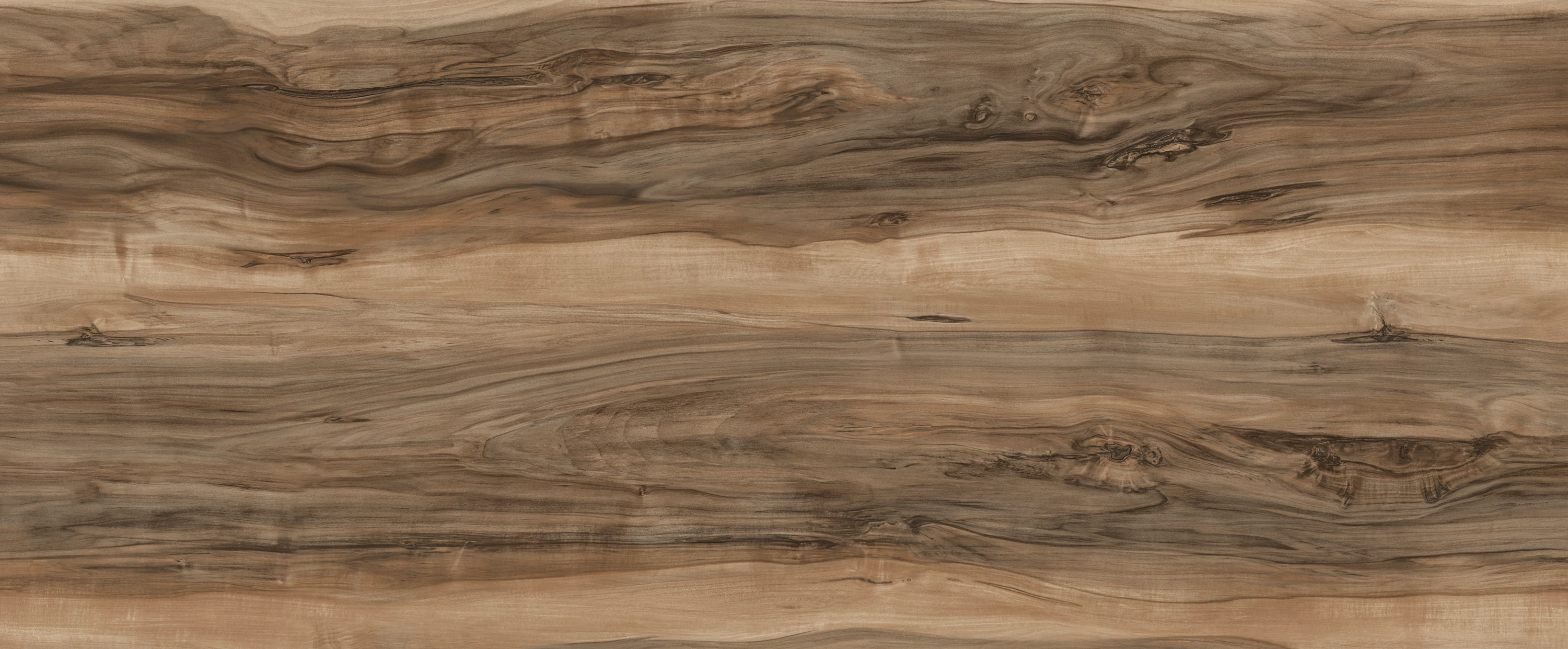 KERALA SHEESHAM TREE